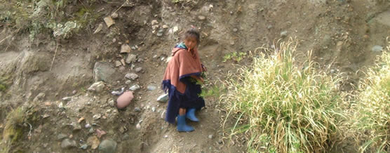 &copy; Enrique Fernandez