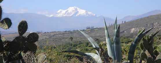 Chimborazo © Camilo Andrade