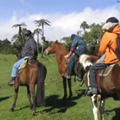 Mission, vision and principals