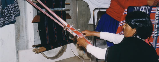 Tejedora &copy; Silvia Vallejo