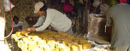 Elaboración de panela © Marjolein Reintjes