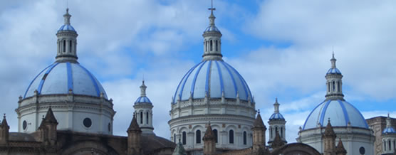 Bite &copy; Marcelo Arteaga