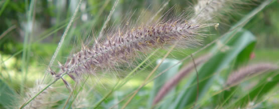 Privacy policy © Marcelo Arteaga