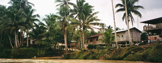 Playa de Oro &copy; Jenny Chavez