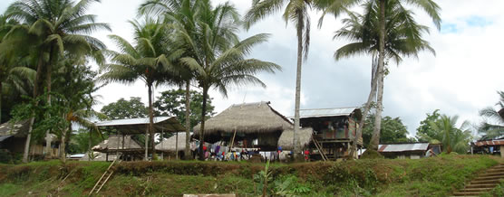 Poblado de El Tigre &copy; Marcelo Arteaga